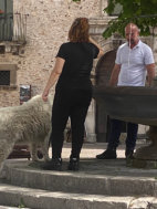 Campo Di Giove - Community Dog