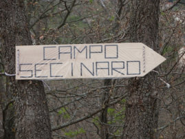 Emergency Camp Site