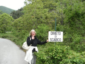 Google Translate: Discharge Prohibition: "No Fly Tipping" I guess