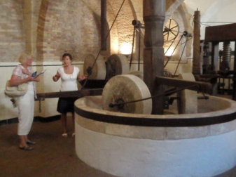 The Olive Oil Museum Guide