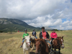A Great Family Adventure