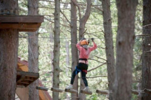 Much like Go-Ape in the UK