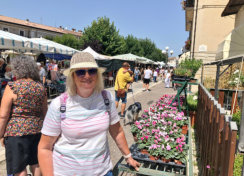 Rocca Di Mezzo Market Day (Every Wednesday)