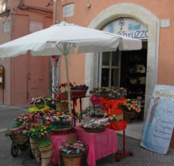 Try the small Museum on the road out towards Scanno
