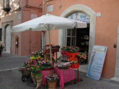 Try the small Museum on the road out towards Scanno