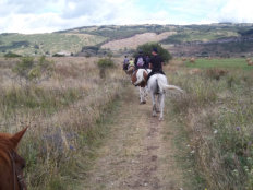 Nice views as you ride along
