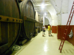Look out for Pietratonj wines at the Supermarket