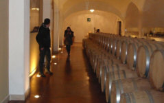 Near Chieti - a great mix of Wine, Art & Sculpture